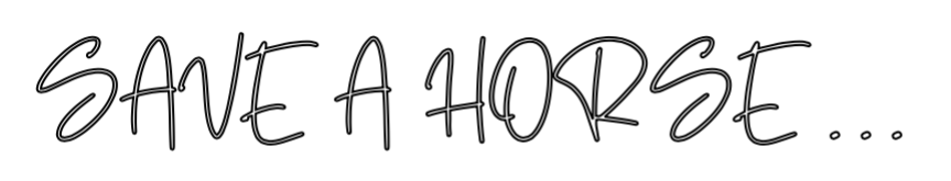 Custom Neon: SAVE A HORSE ..... by Neon Icons