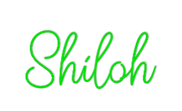 Custom Neon: Shiloh by Neon Icons